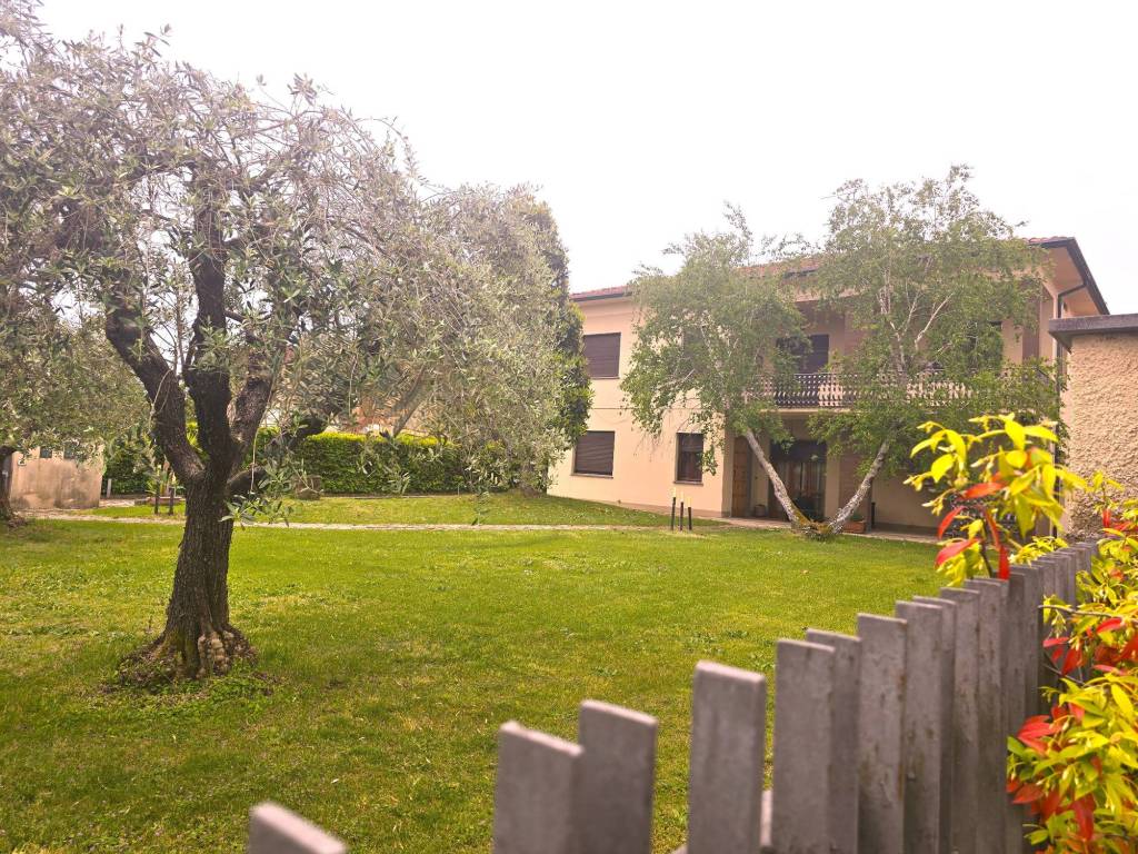 immagine annuncio 2 di 5