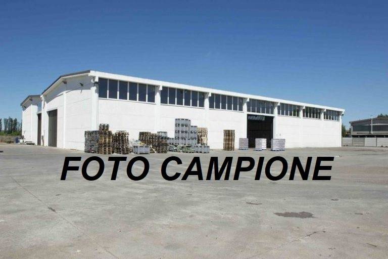 immagine annuncio 1 di 2