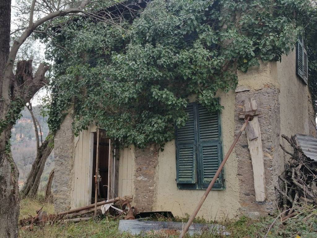 immagine annuncio 3 di 4