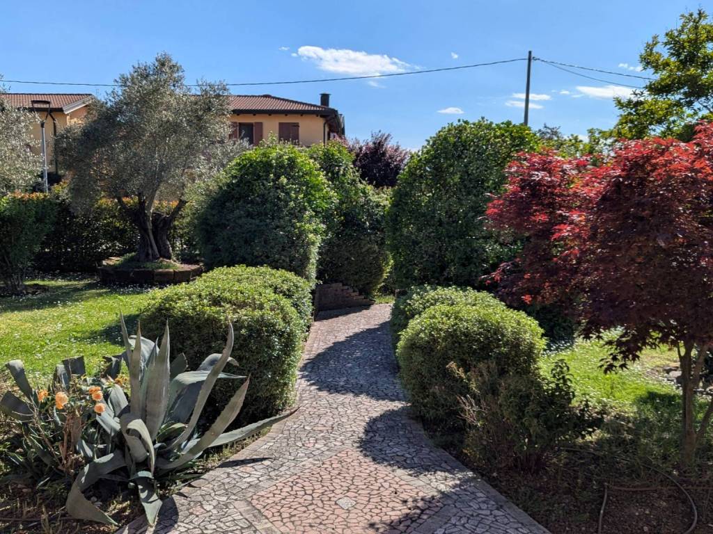immagine annuncio 2 di 5