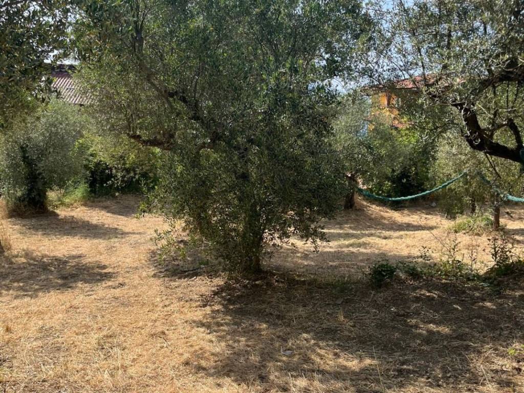 immagine annuncio 1 di 2
