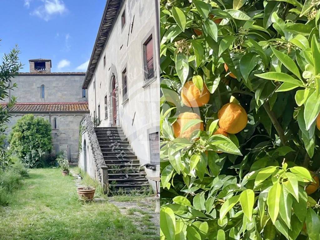 immagine annuncio 3 di 4
