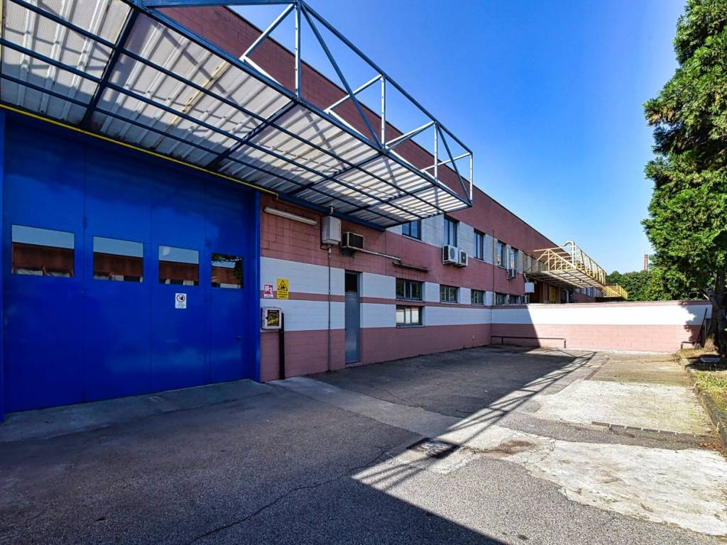 immagine annuncio 2 di 5