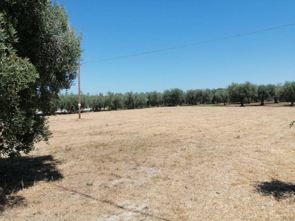 immagine annuncio 1 di 4