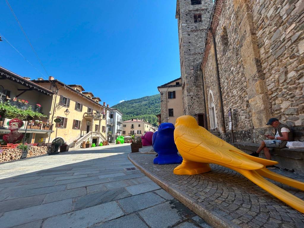 immagine annuncio 2 di 5