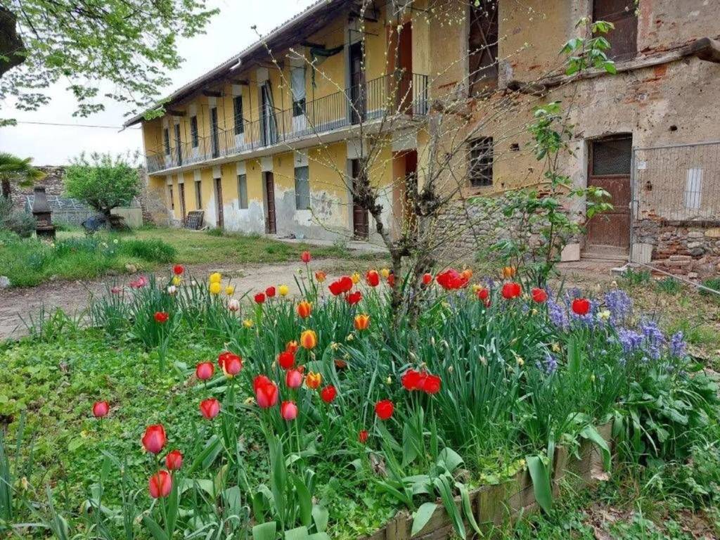 immagine annuncio 2 di 5