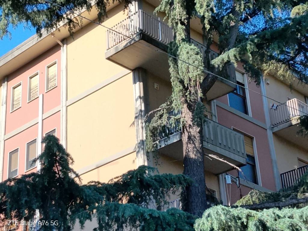immagine annuncio 1 di 2