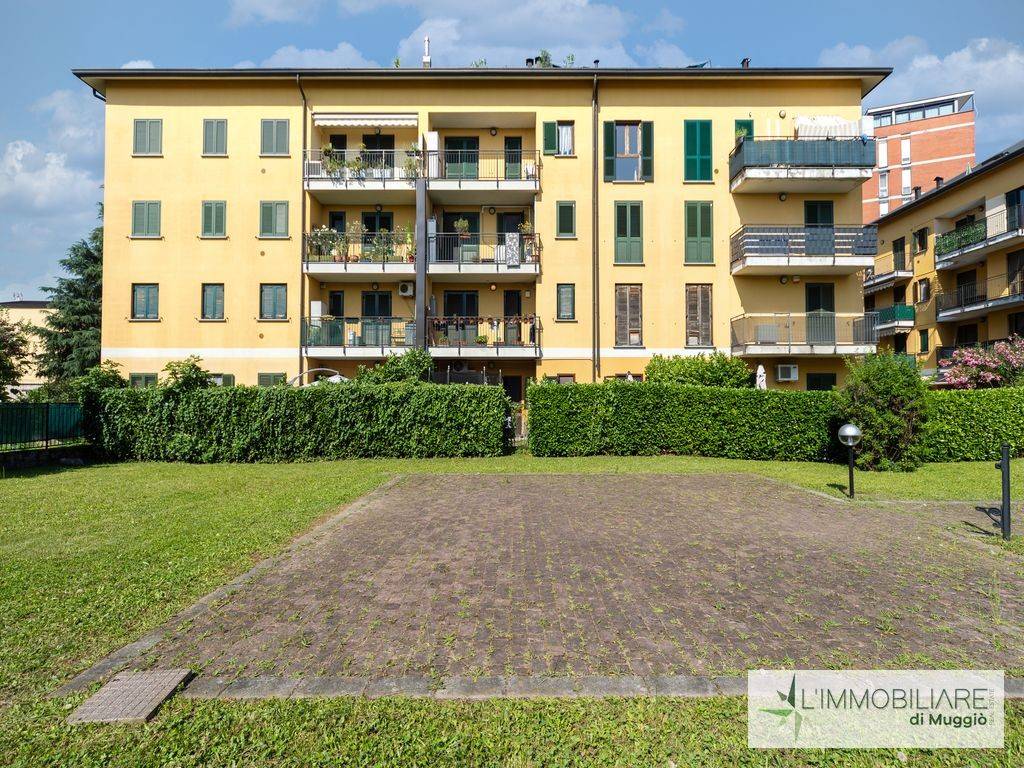 immagine annuncio 4 di 5