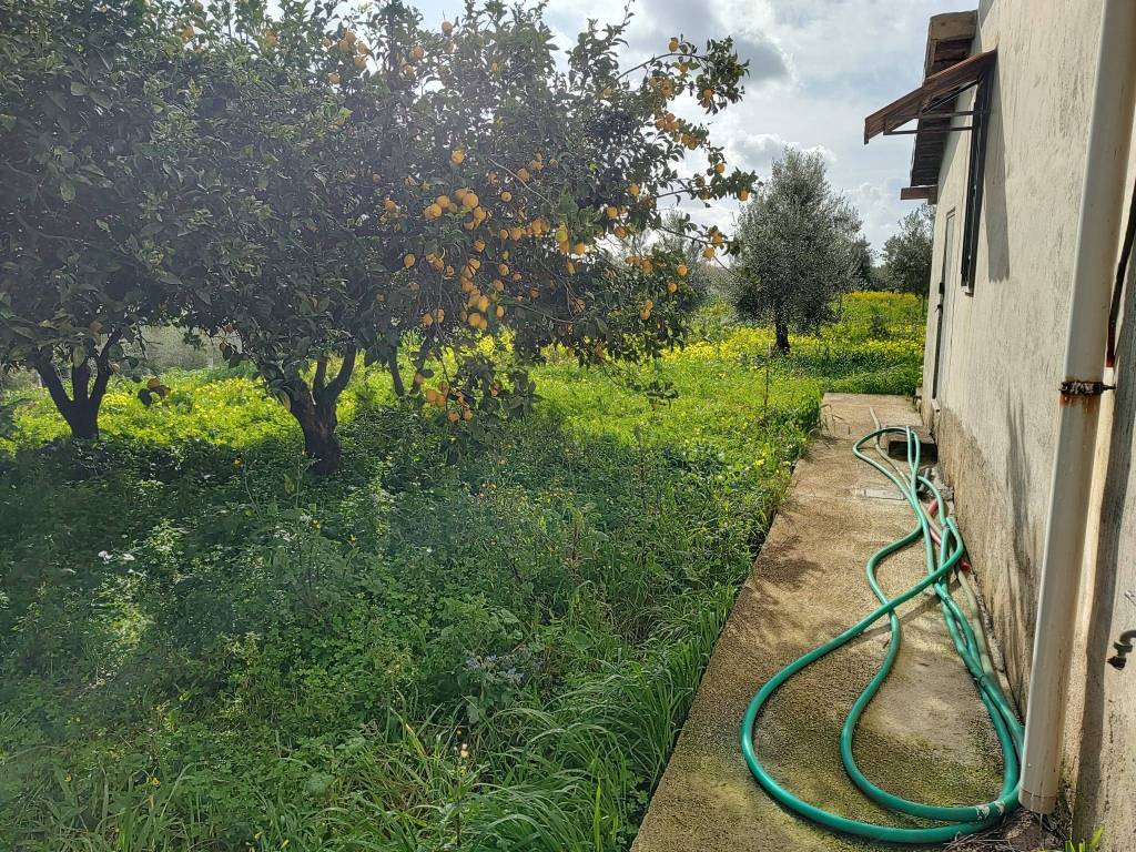 immagine annuncio 2 di 4
