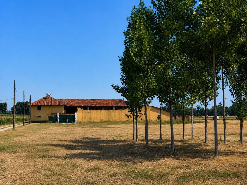 immagine annuncio 2 di 5