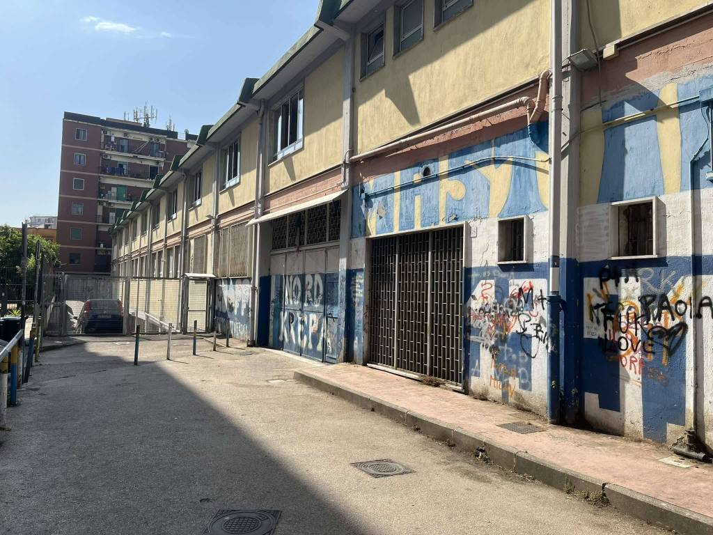 immagine annuncio 3 di 5