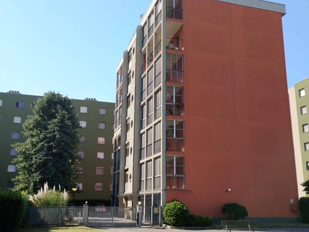 immagine annuncio 2 di 5