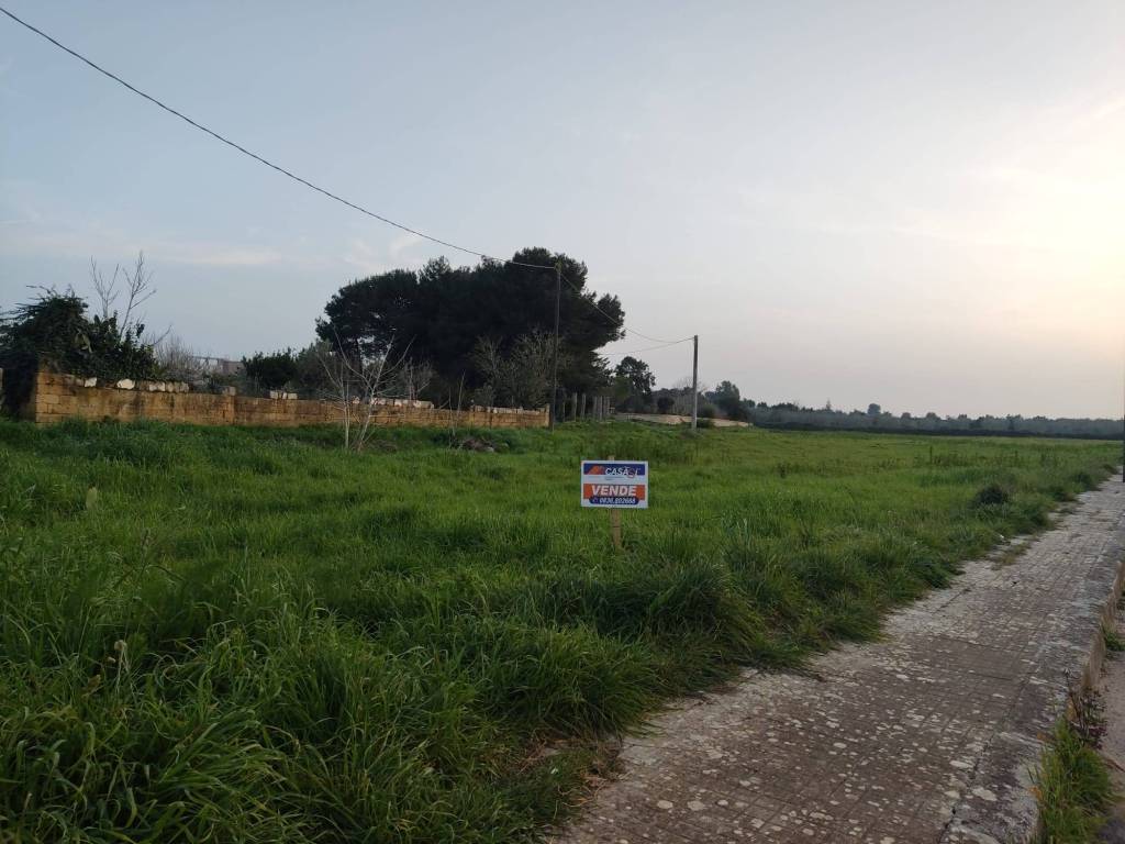 immagine annuncio 1 di 2
