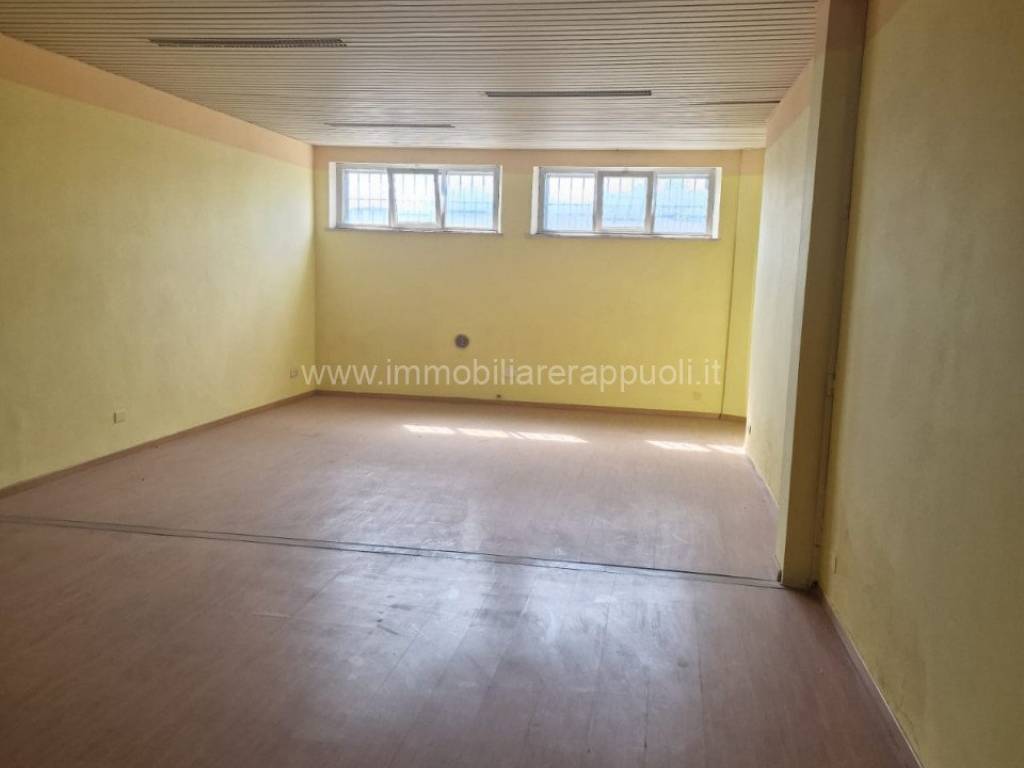 immagine annuncio 2 di 3