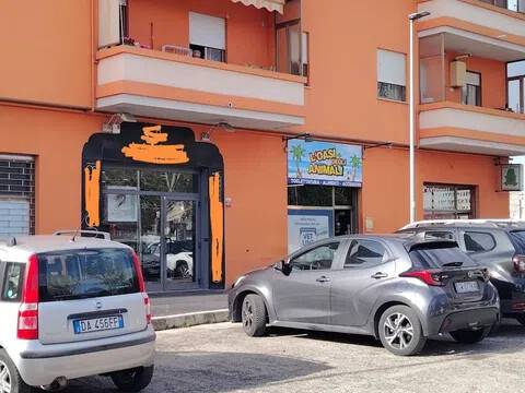 immagine annuncio 1 di 3