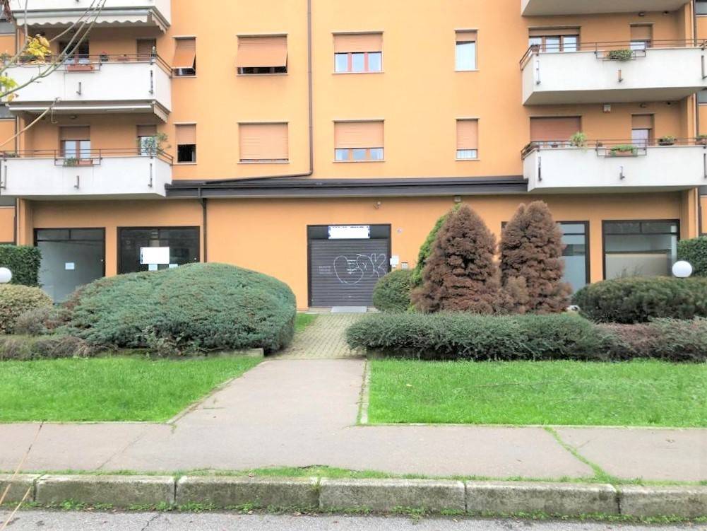 immagine annuncio 3 di 5