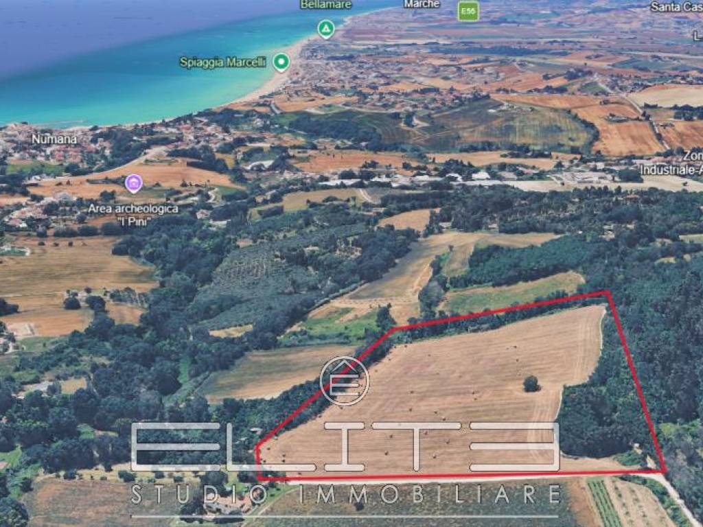 immagine annuncio 3 di 5