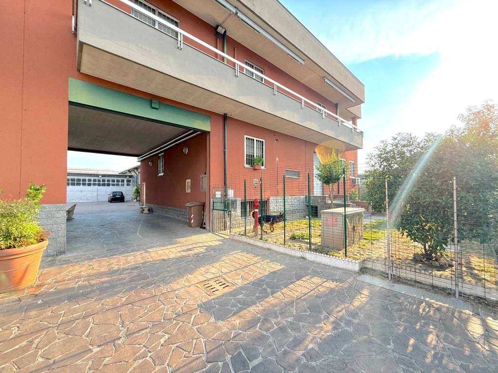 immagine annuncio 4 di 5