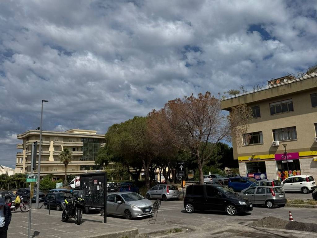 immagine annuncio 2 di 4