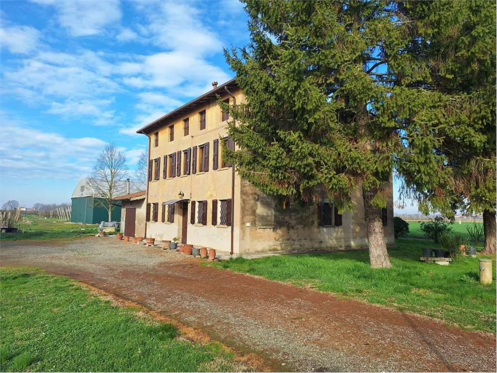 immagine annuncio 3 di 5
