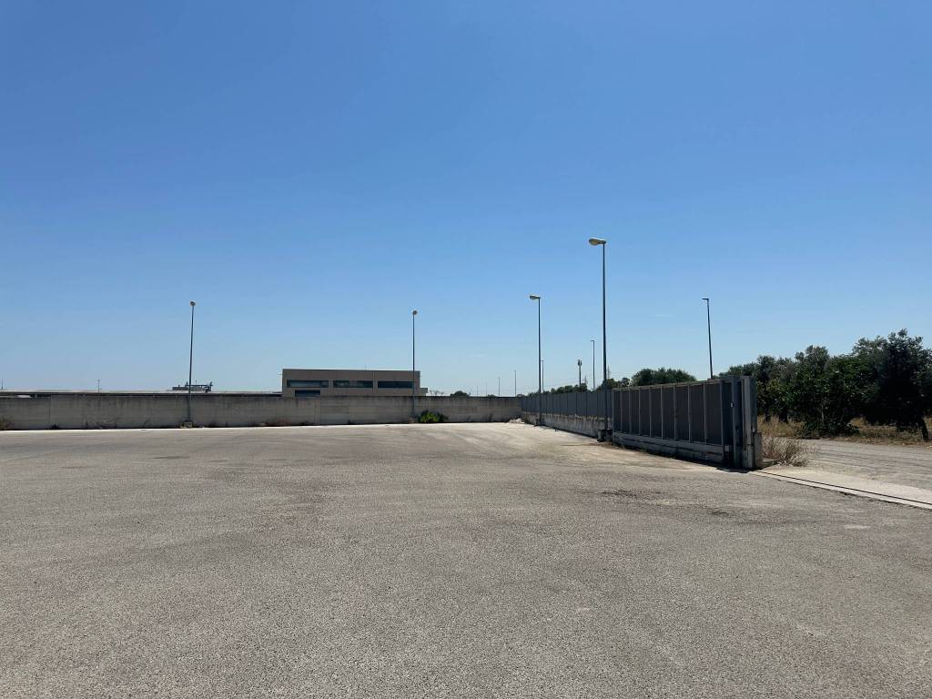 immagine annuncio 1 di 4