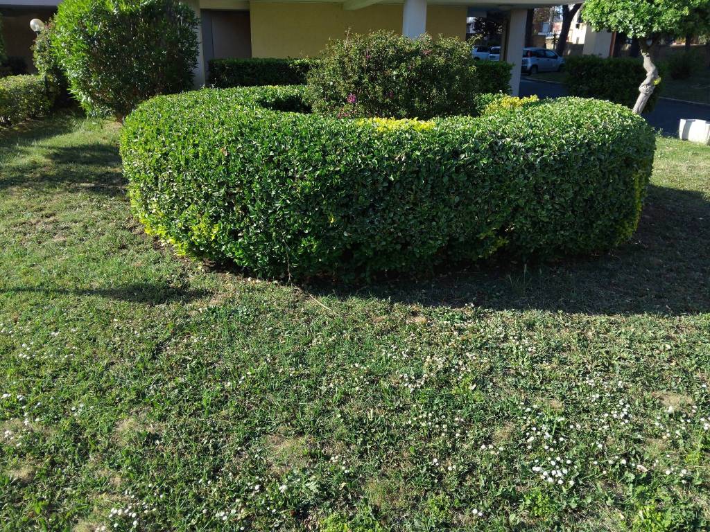 appartamento in vendita a Livorno