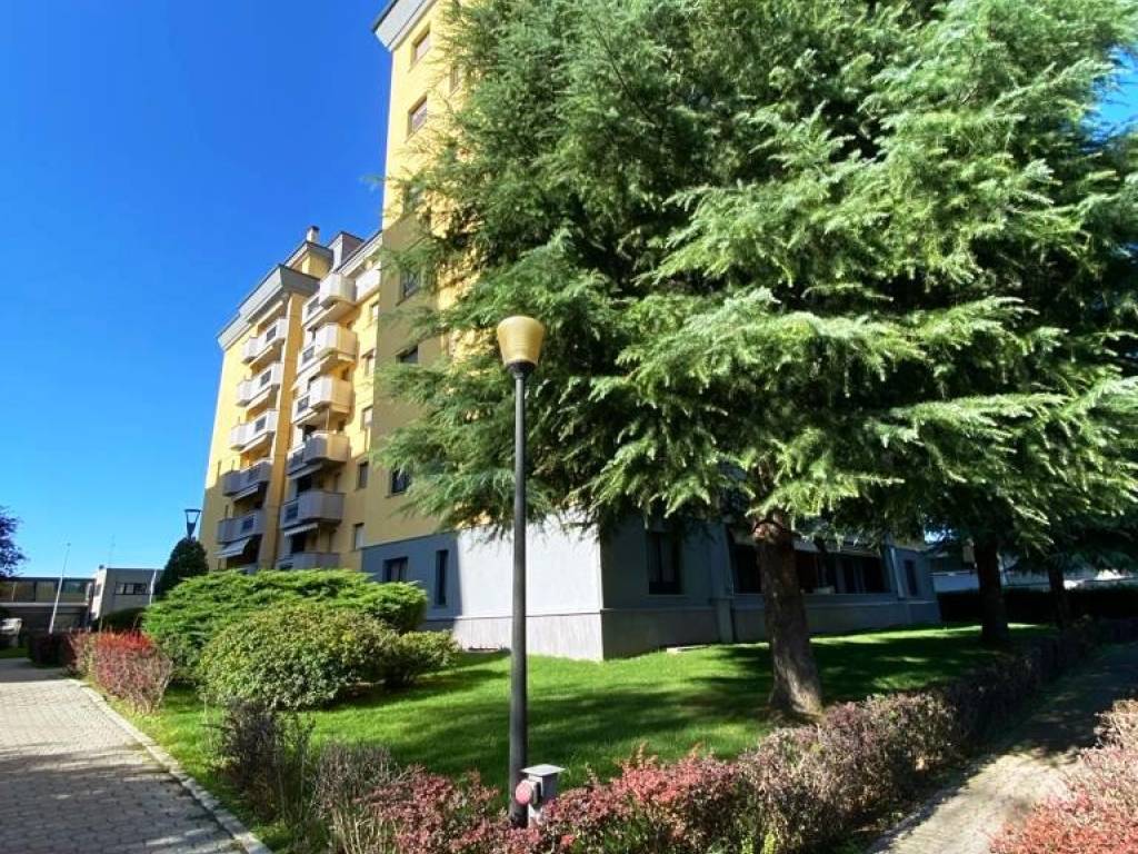 immagine annuncio 2 di 3