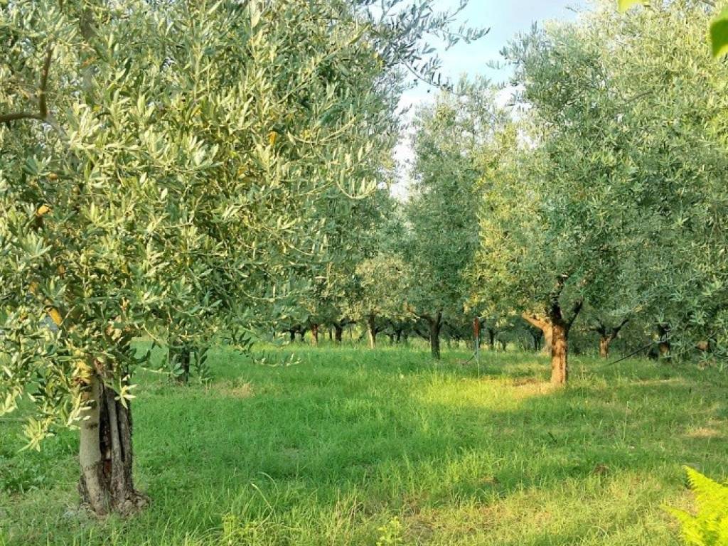 immagine annuncio 1 di 3