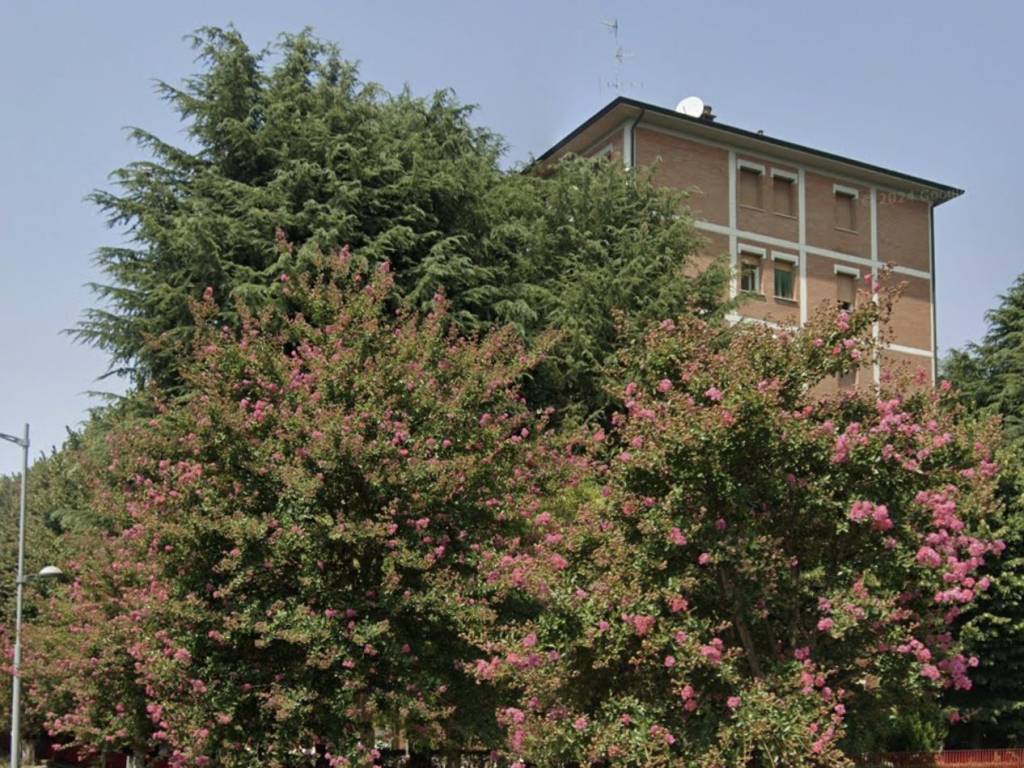 immagine annuncio 1 di 3