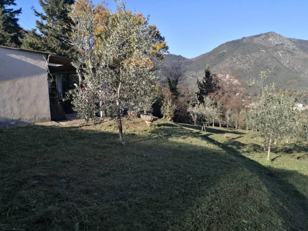 appartamento in vendita a Lucca in zona San Lorenzo a Vaccoli