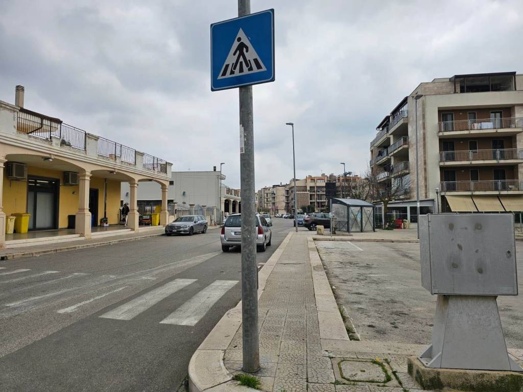 immagine annuncio 1 di 2