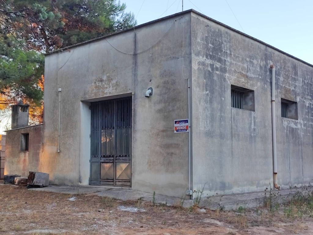 immagine annuncio 2 di 5