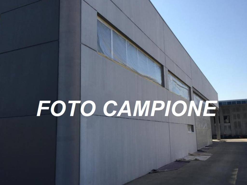 immagine annuncio 1 di 2