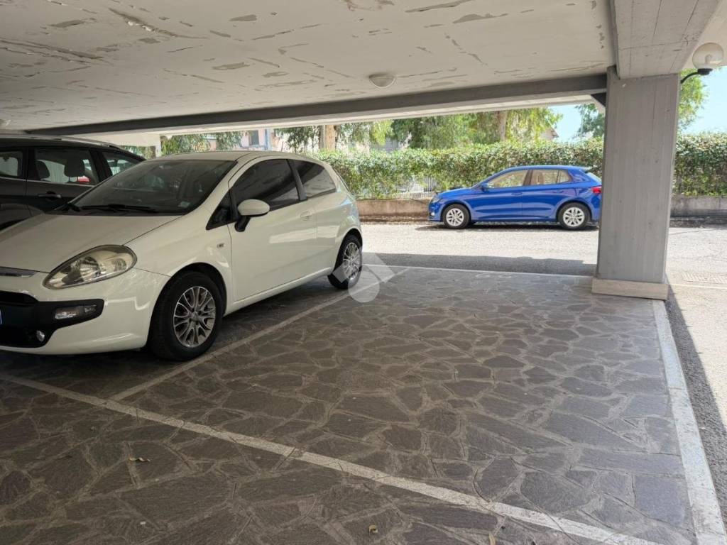 immagine annuncio 2 di 4