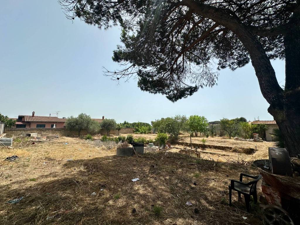 immagine annuncio 2 di 4
