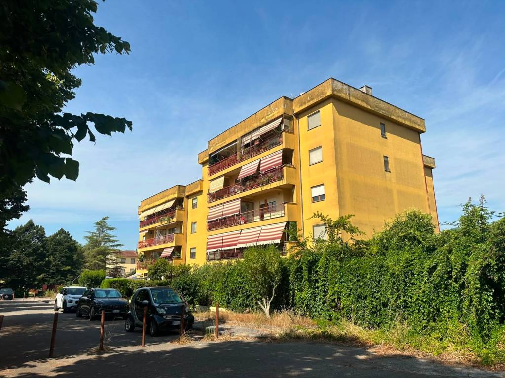 immagine annuncio 3 di 5