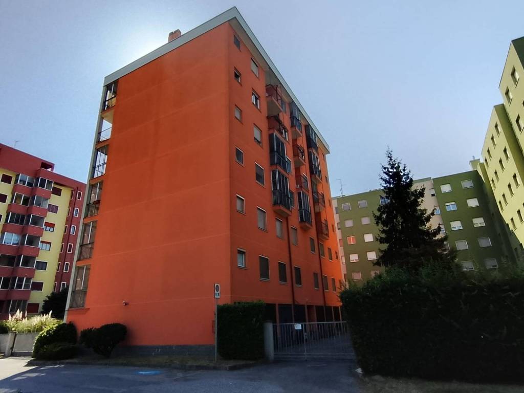 immagine annuncio 2 di 5