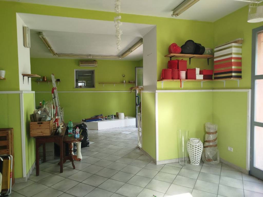 immagine annuncio 4 di 5