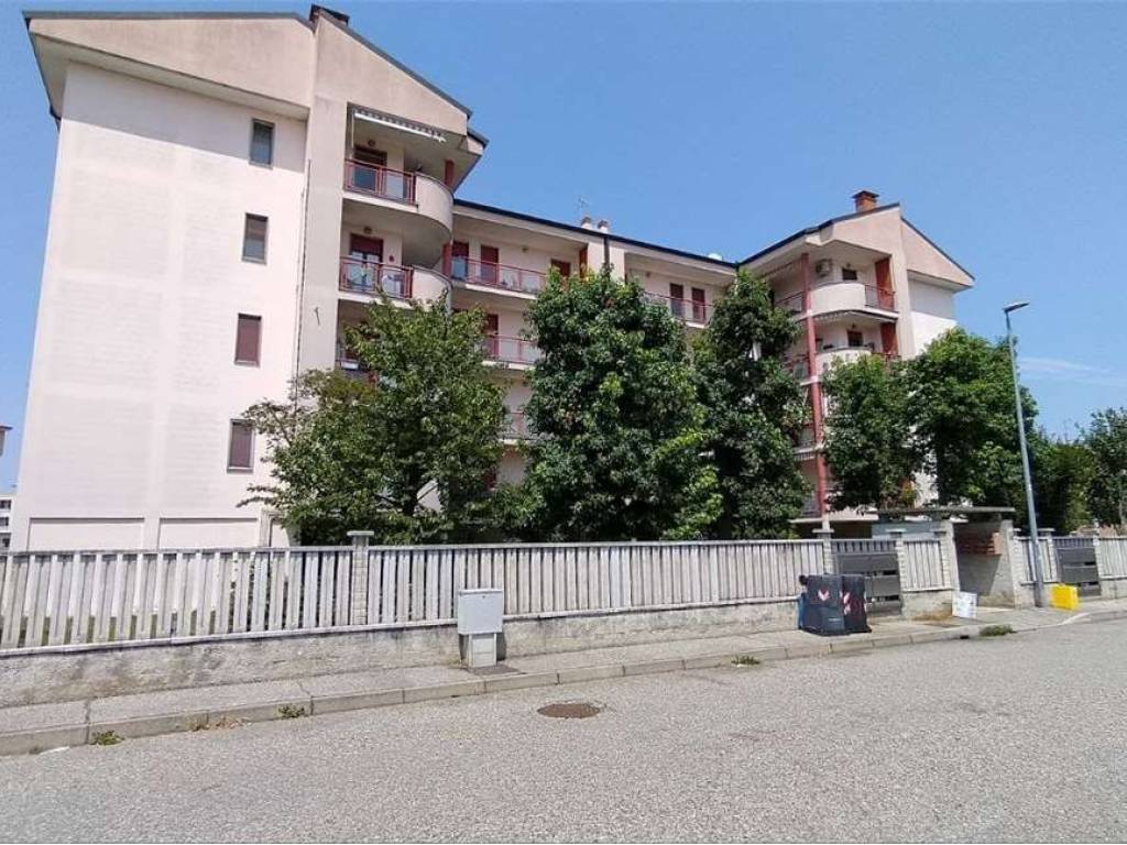 immagine annuncio 2 di 5