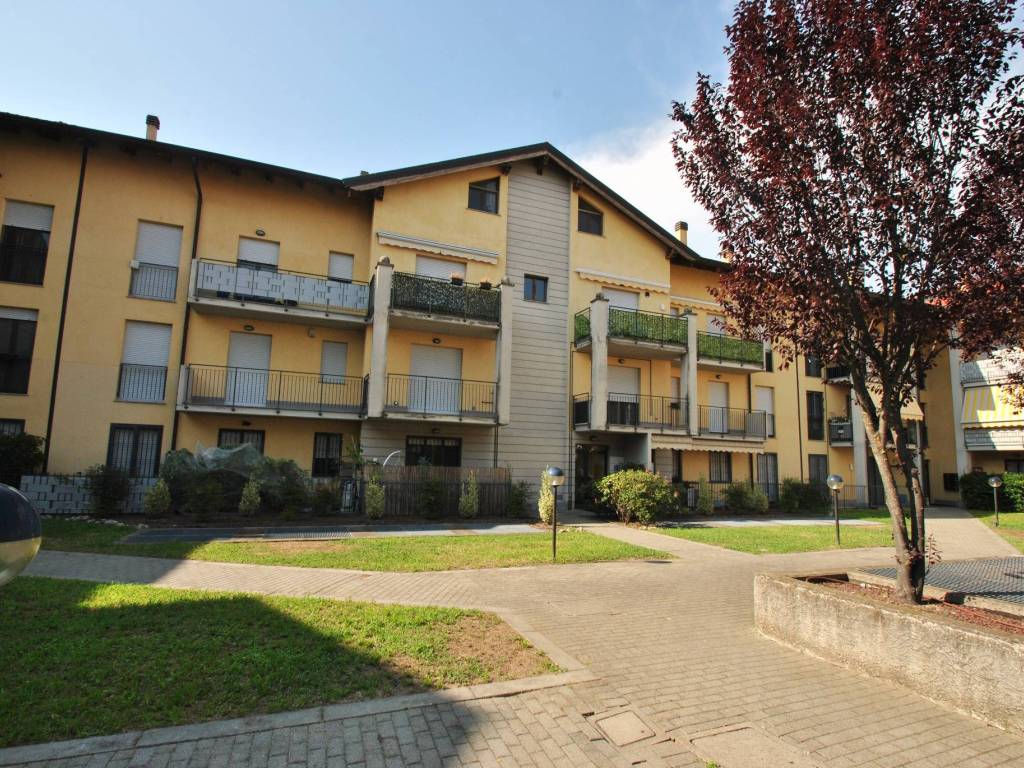 immagine annuncio 1 di 5