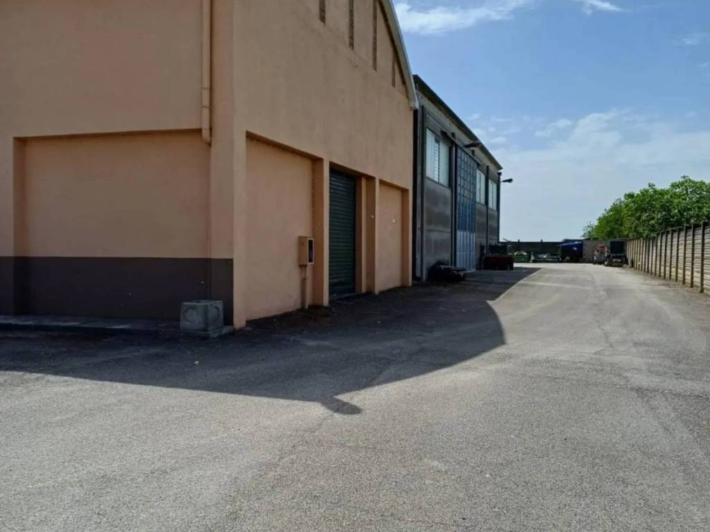 immagine annuncio 4 di 5
