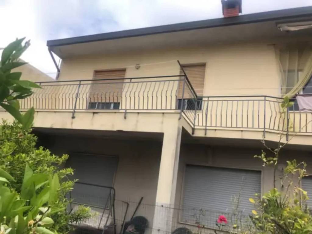 immagine annuncio 2 di 4