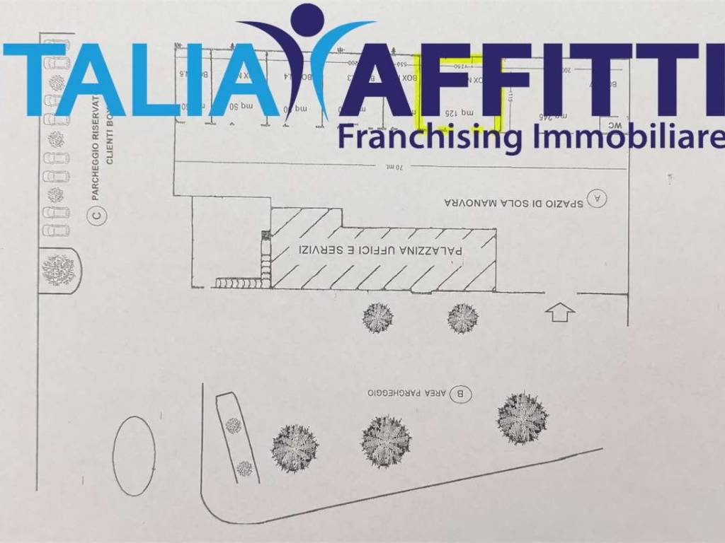 immagine annuncio 4 di 5