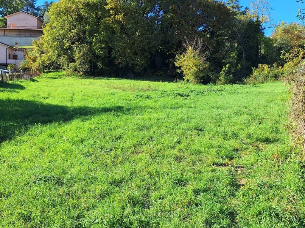 terreno agricolo in vendita a Rignano Flaminio in zona Montelarco