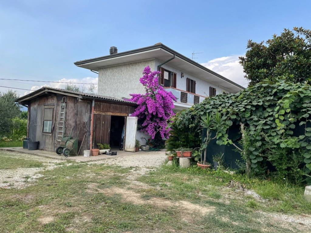 immagine annuncio 1 di 5