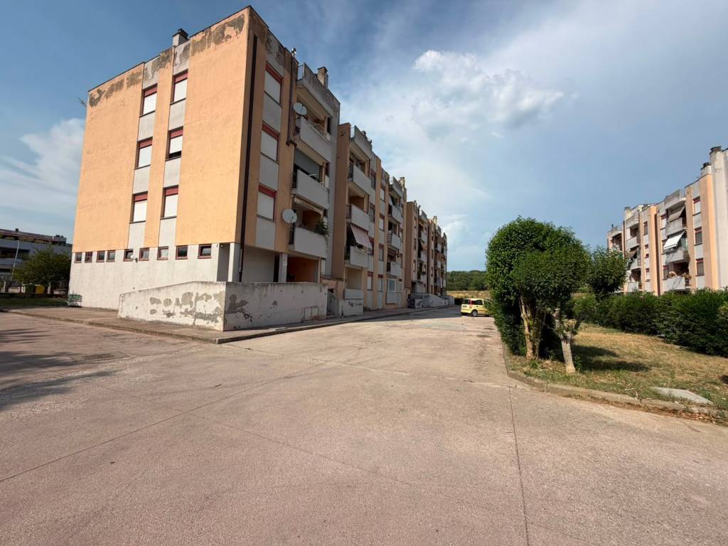 immagine annuncio 3 di 5