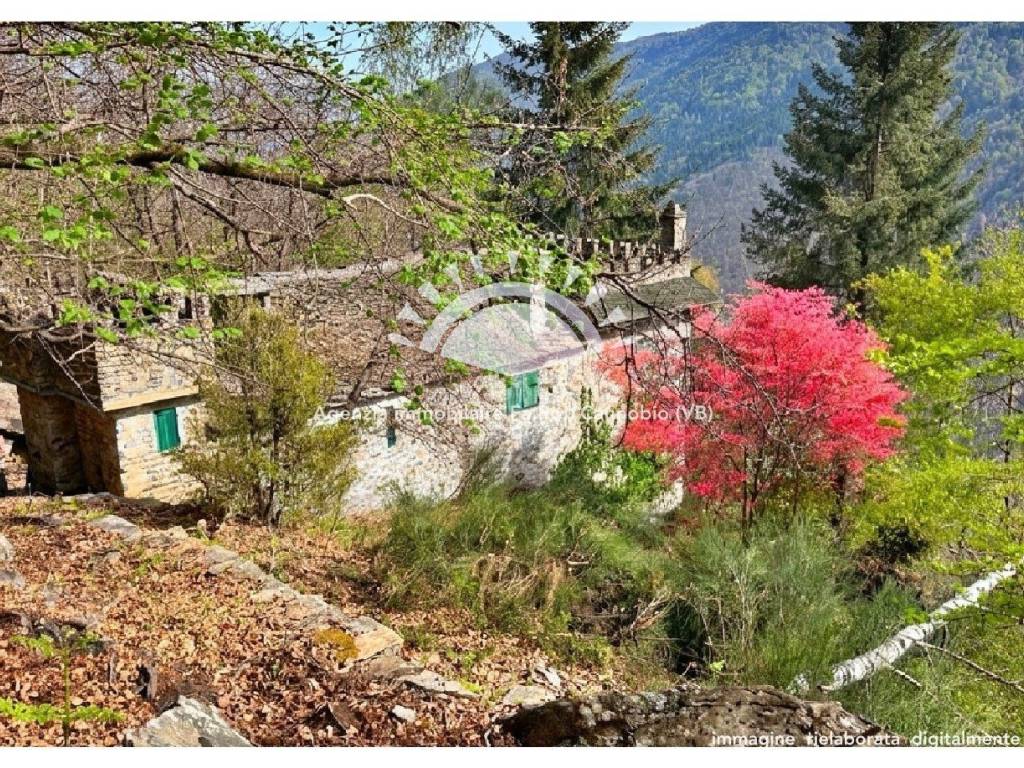 immagine annuncio 2 di 5