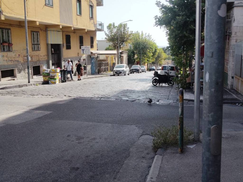immagine annuncio 1 di 2