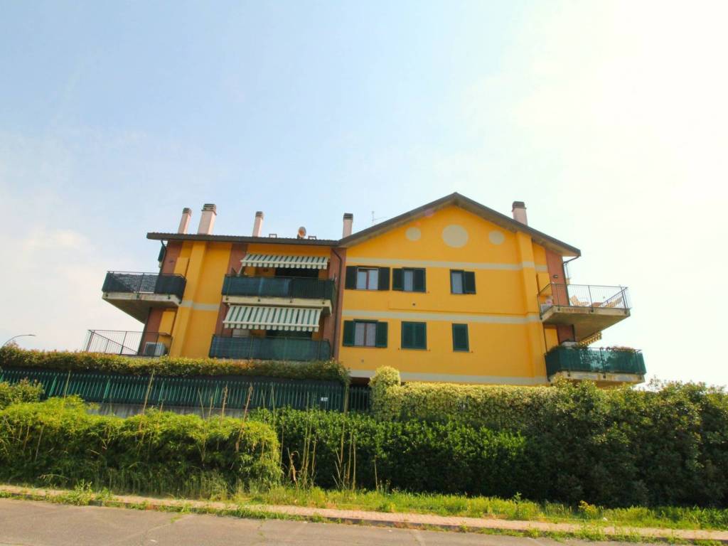 immagine annuncio 3 di 5