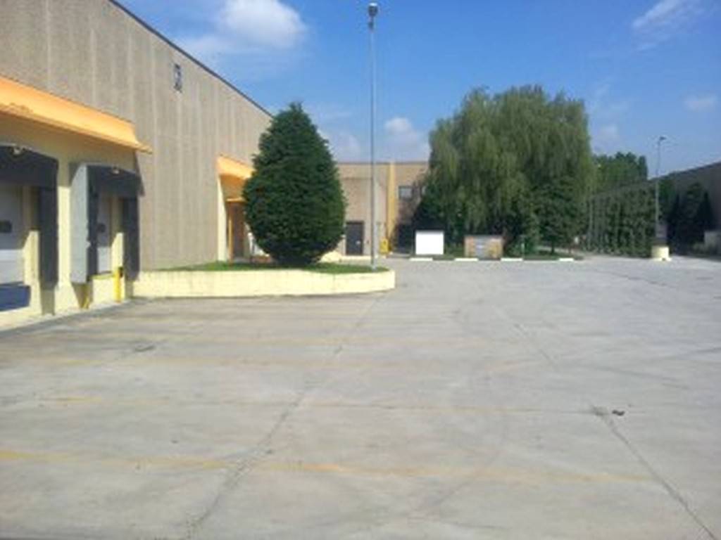 immagine annuncio 4 di 5